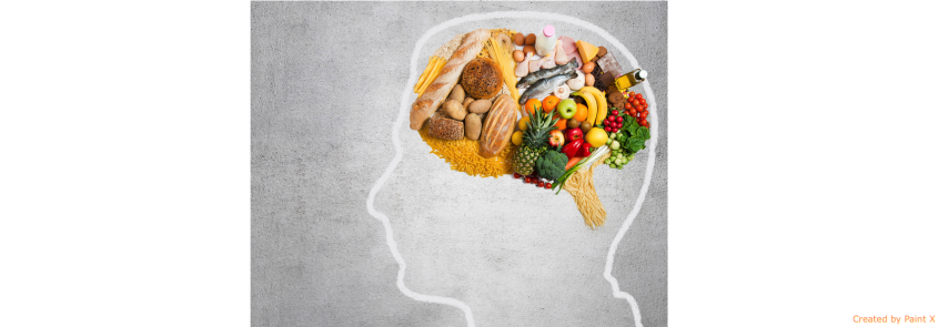 Food and the brain