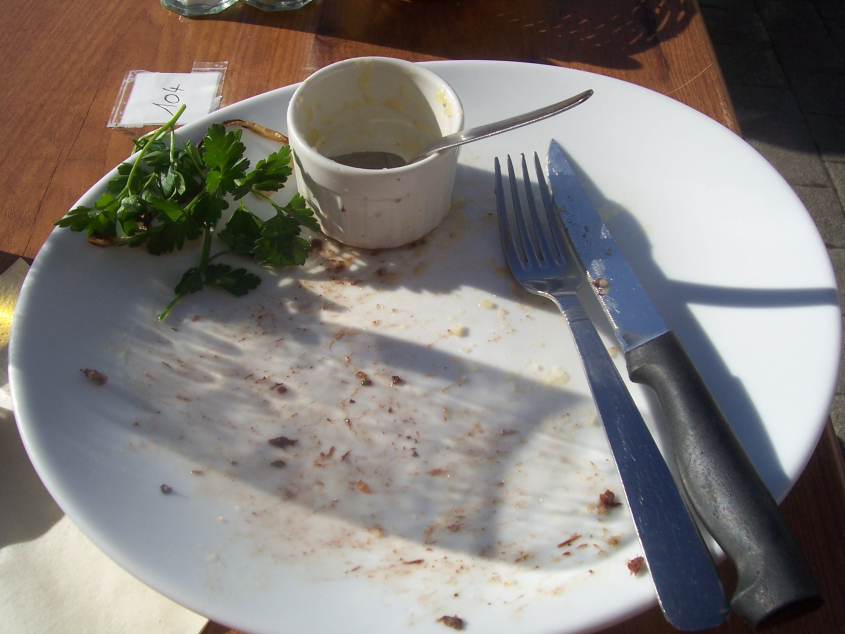 Empty plate after a meal is finished