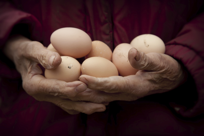 Older person holding eggs